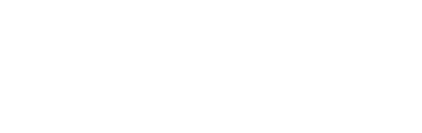 Helmix.potret